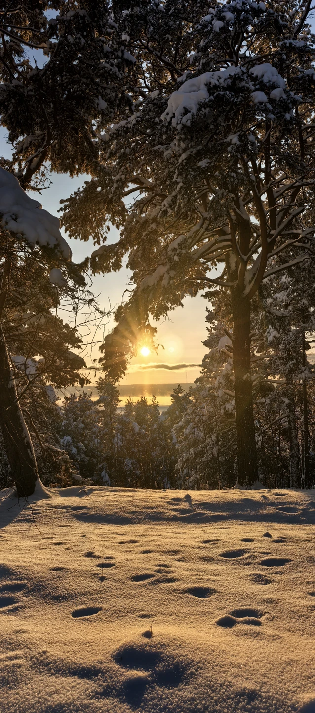 Веселый гид, все здорово