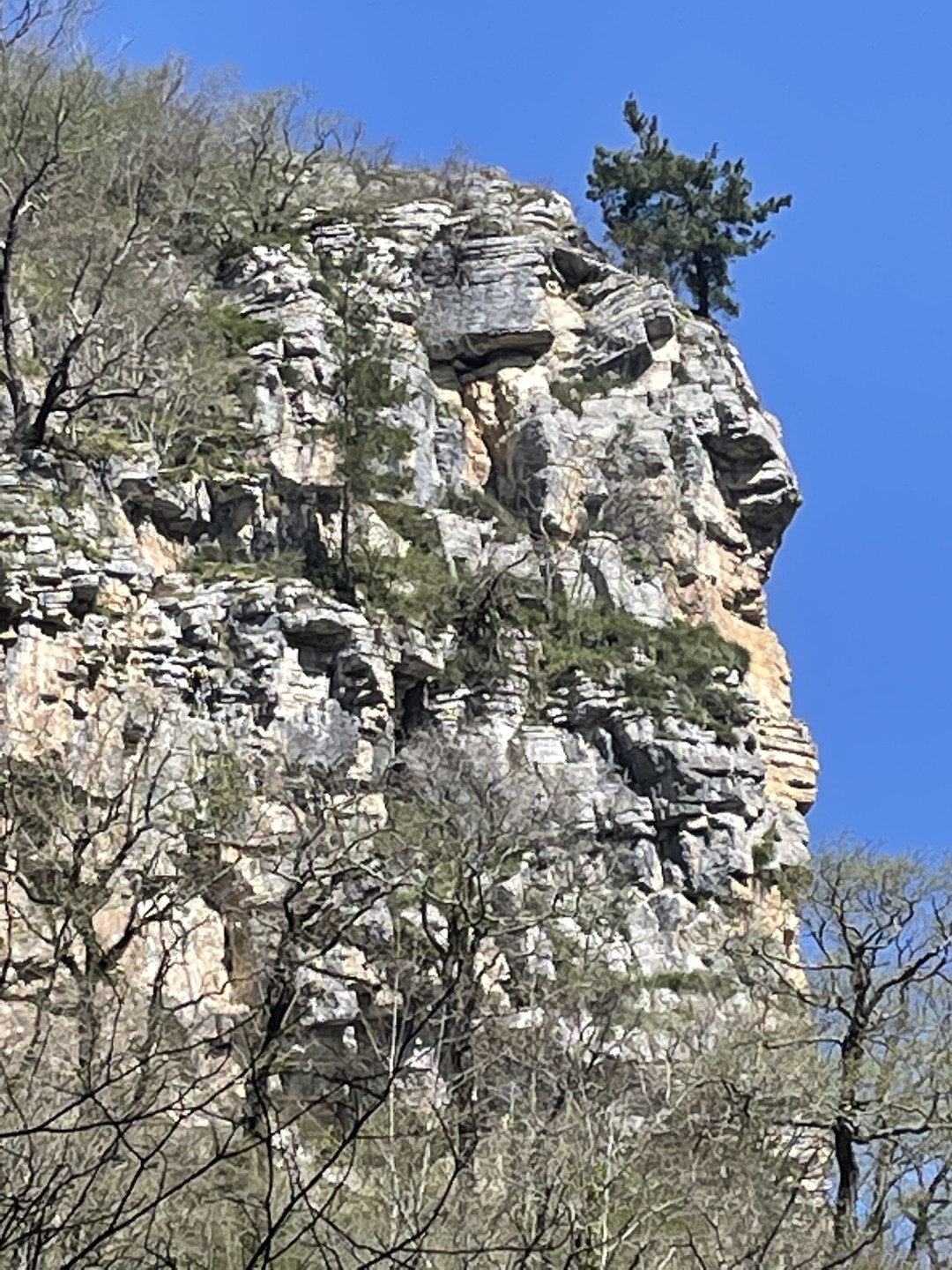 Визитная карточка Сочи (Наталия)