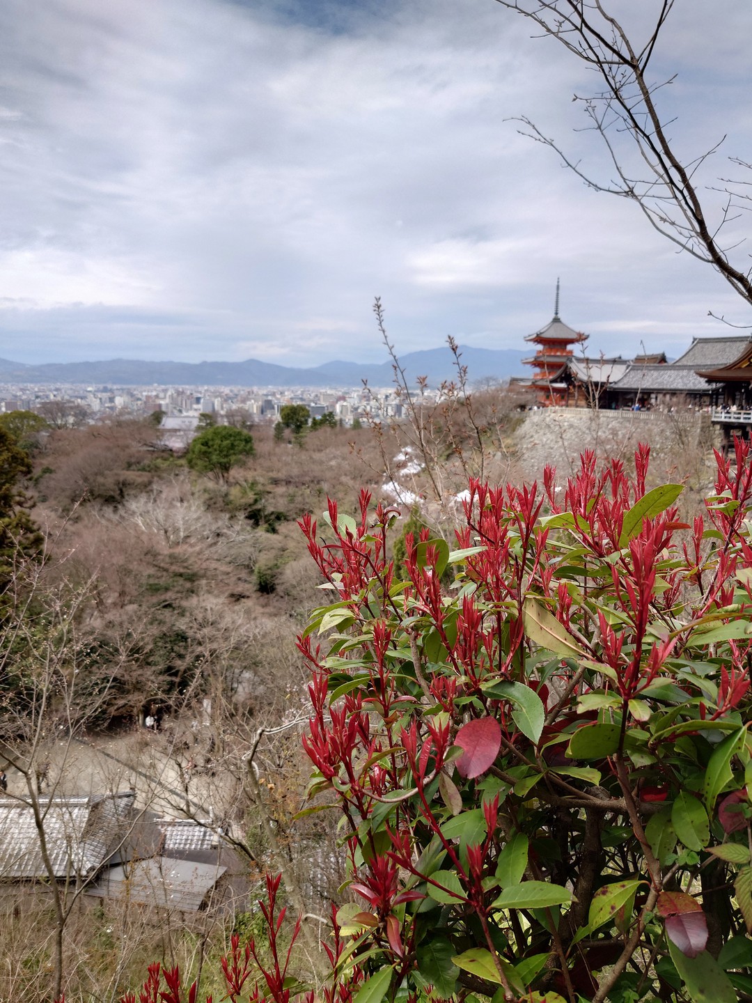 Культовые памятники Киото (Валерий)