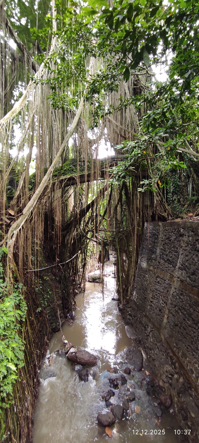 Бали, который вы ждёте (Алёна)
