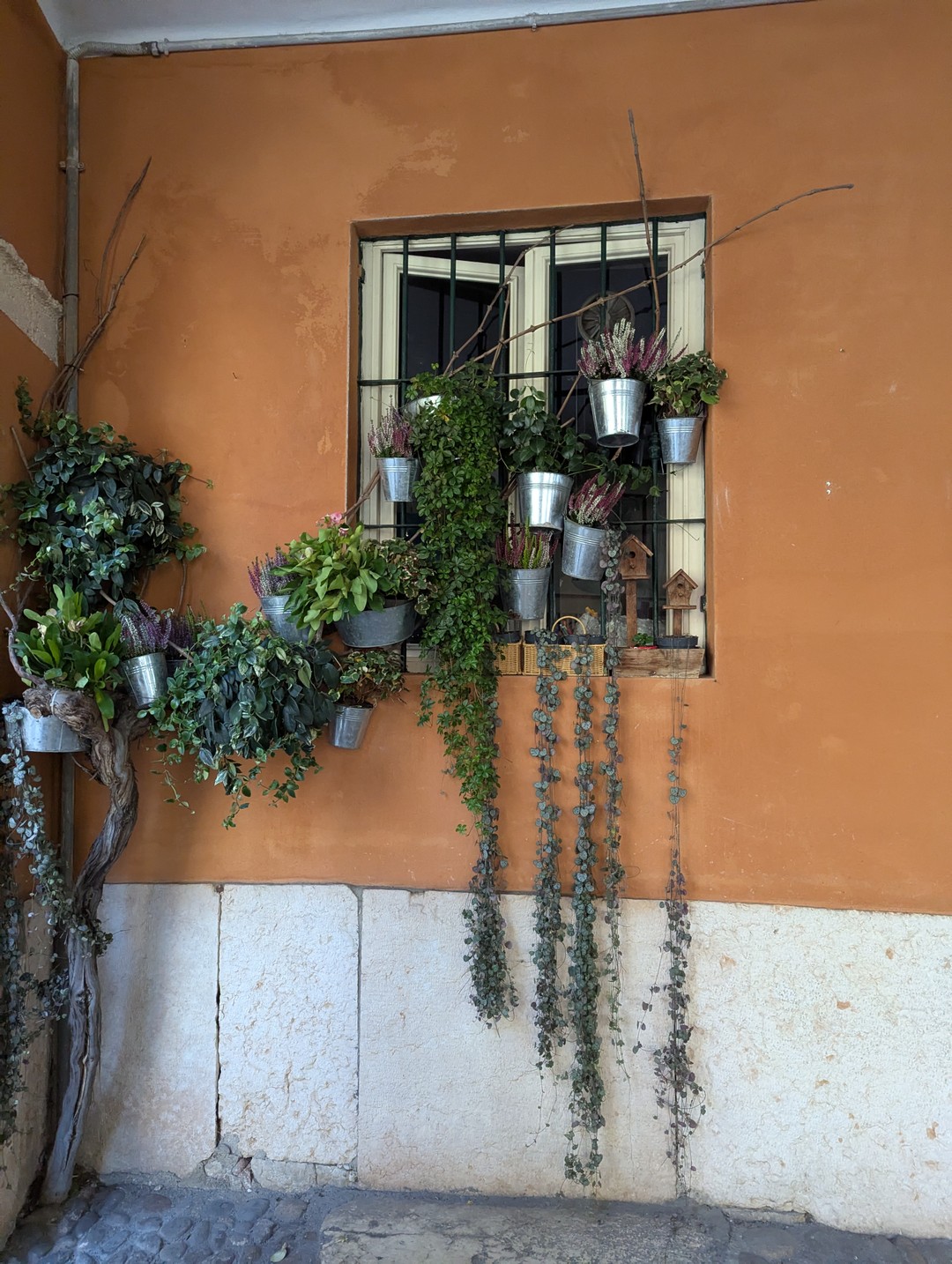 Нам невероятно повезло с гидом. Евгений Итальянец, говорящий по русски и знающий ещё несколько языков, прекрасно