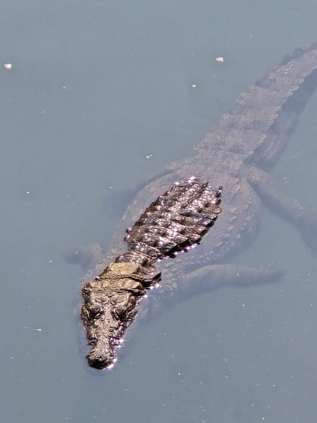 Увлекательная экскурсия с большим количеством информации. Правда, не мешало бы иметь предварительные знания для лучшего понимания.