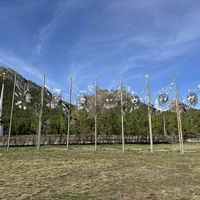 Фото отзыва 2: экскурсия "Национальный парк «Бурабай»: путешествие в казахстанскую Швейцарию"