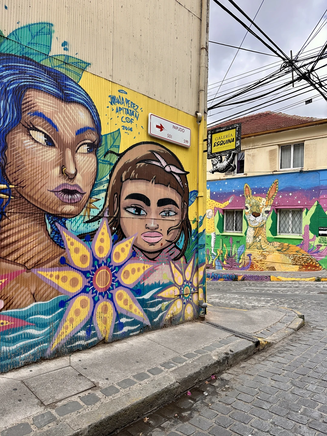 Организовано всё отлично! Провели шикарный день в Чили! Очень рекомендуем данный маршрут!