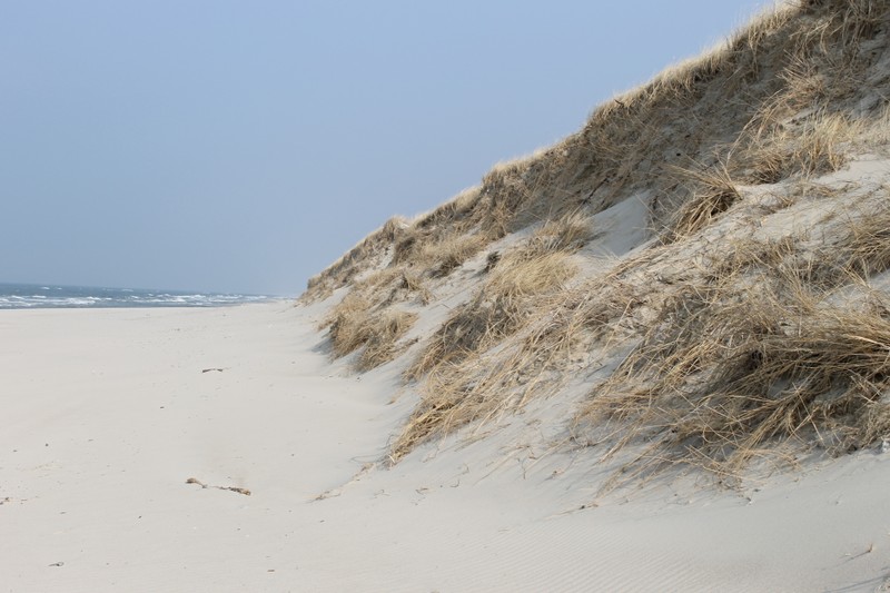 Из Калининграда - на Куршскую косу и в Зеленоградск