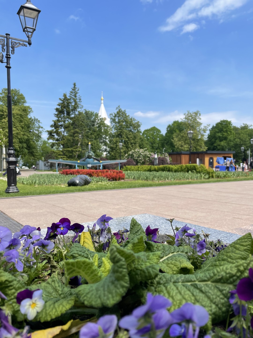 Кремль и Покровка (Анастасия)