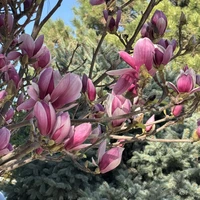 Фото отзыва 3: авторский тур "Узбекистан только для вас: индивидуальный тур по Ташкенту, Бухаре и Самарканду"