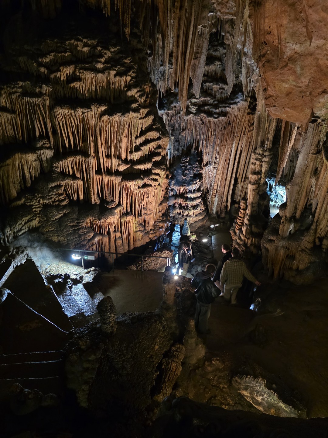Прекрасное сопровождение! Долгая поездка была комфортной. Вам предложат "зеленые остановки", есть вода в машине для каждого
