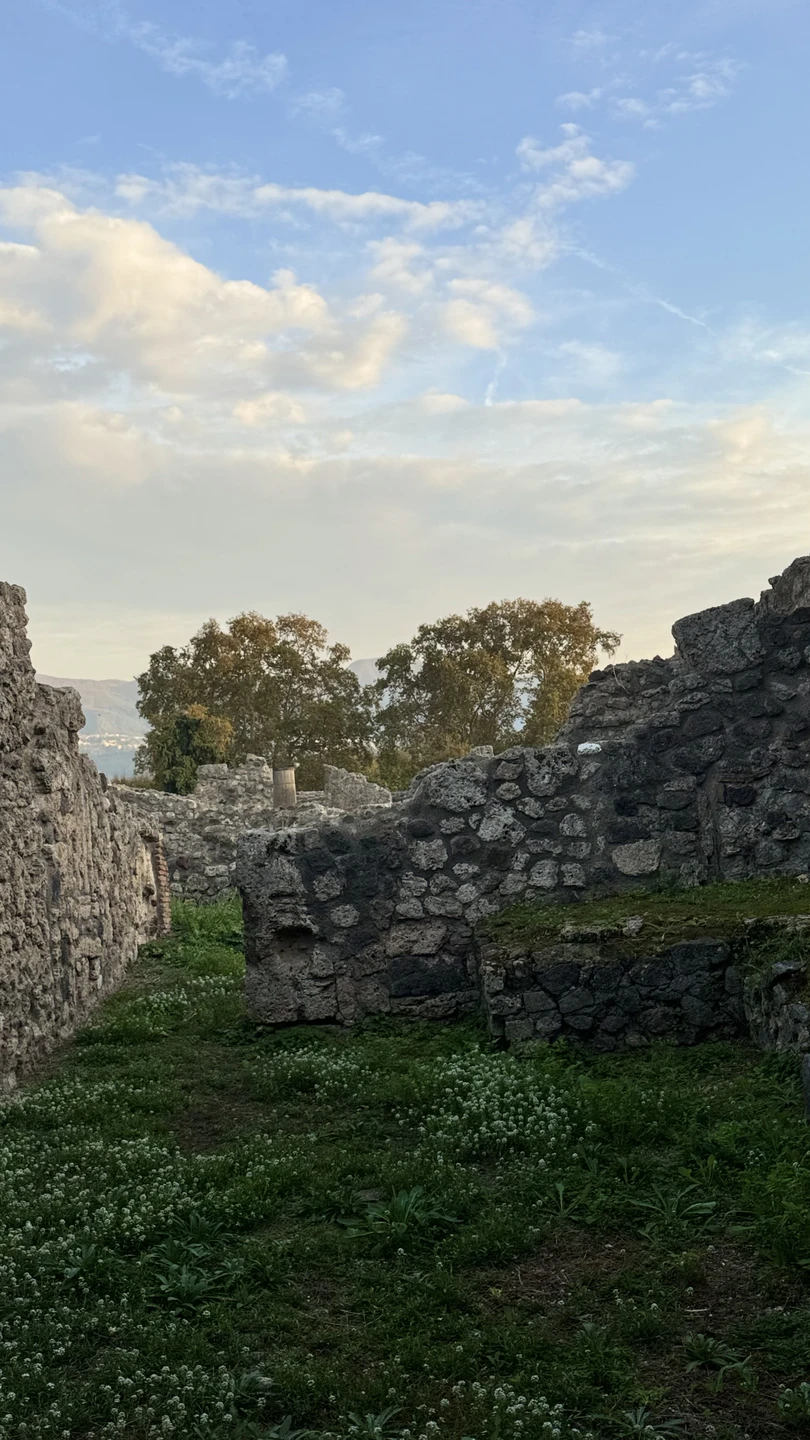 Помпеи - погружение в прошлое и свежий взгляд на настоящее (Анастасия)