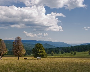 Семинский перевал и село Мульта