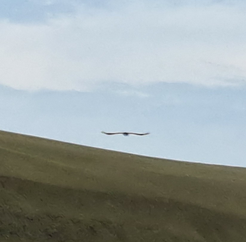 Отличная экскурсия с ответственным и вовлеченным в тему гидом Романом, всем рекомендуем!