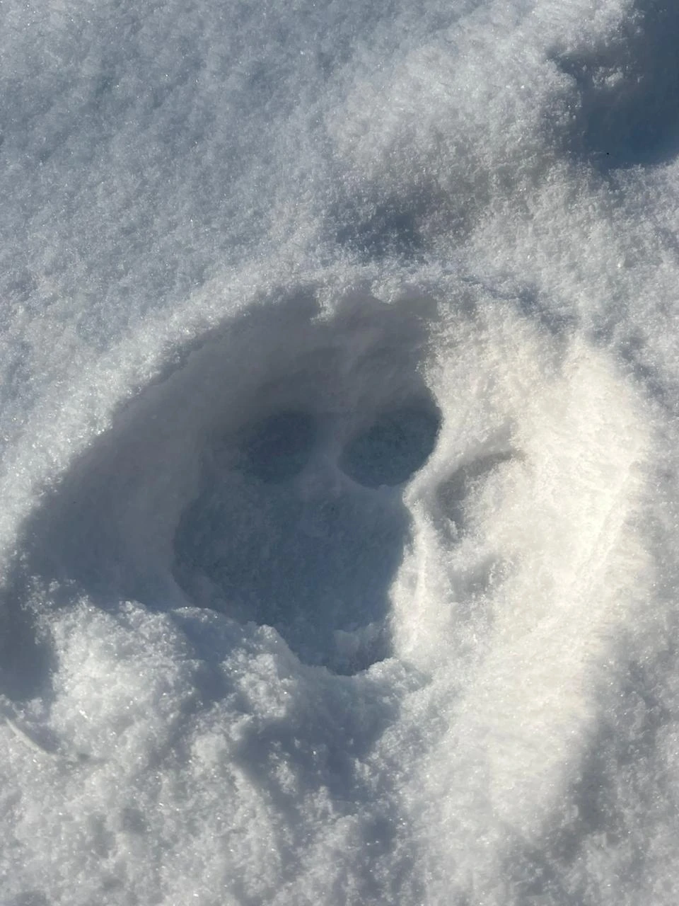 Все очень понравилось, экскурсовод Василий интересно рассказывал о природе, общительный и тактичный. Накануне выпал снежок, но