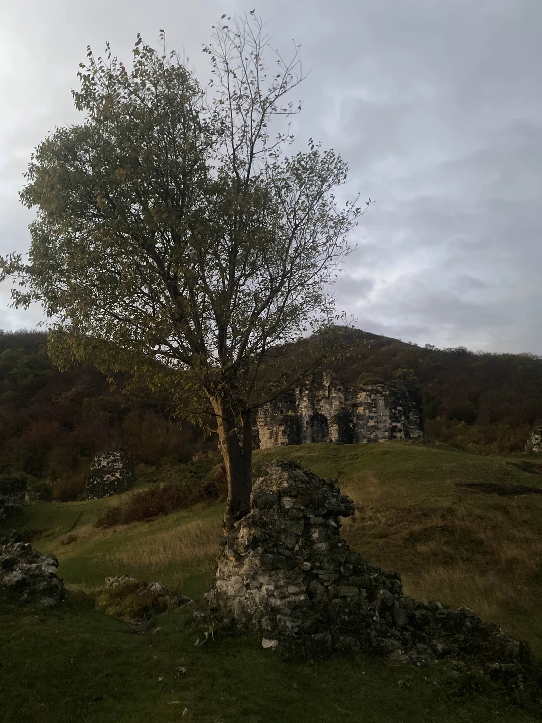 Отличная, нетривиальная подача материала! Программа была отлично адаптирована к времени года, погоде и обстановке на месте!