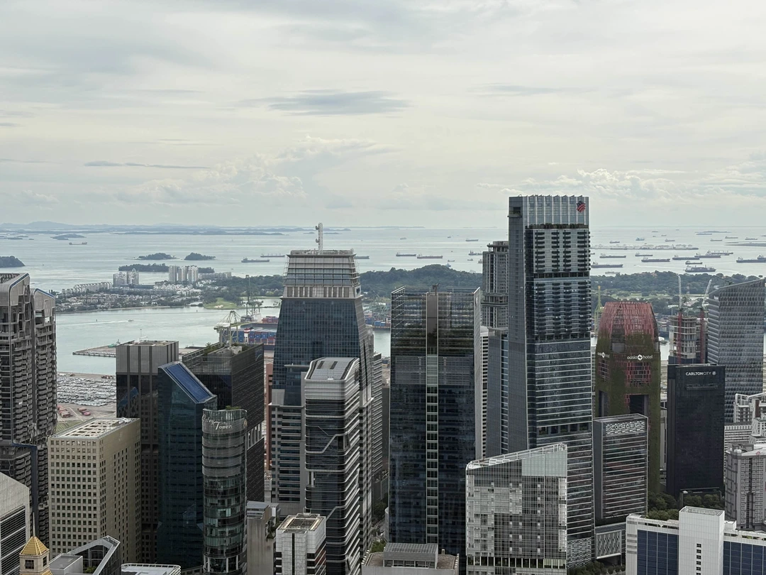 Повели прекрасный день с организатором Анастасией! Узнали история Сингапура, посетили много интересных локаций, вкусно пообедали! Рекомендую! Спасибо!