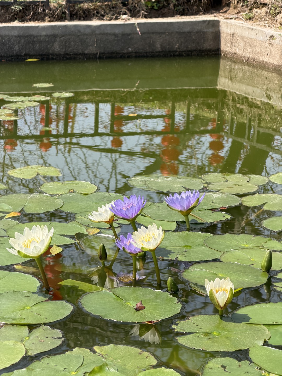 Всем здравствуйте! 🤝