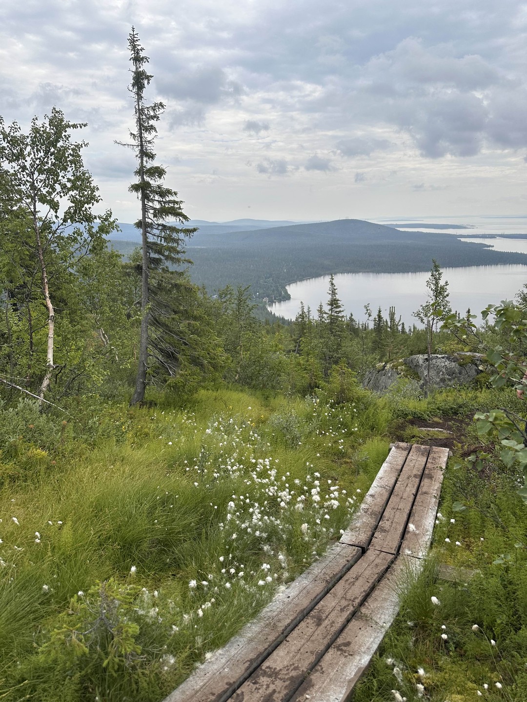 Поехали сразу после прилета- нас забрали из аэропорта, успели даже на фестиваль:)