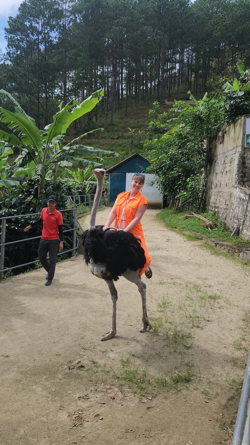 Шикарная экскурсия. Огромное спасибо Диане за отличное настроение,позитив и этот солнечный день. Неспеша посетили много интересных