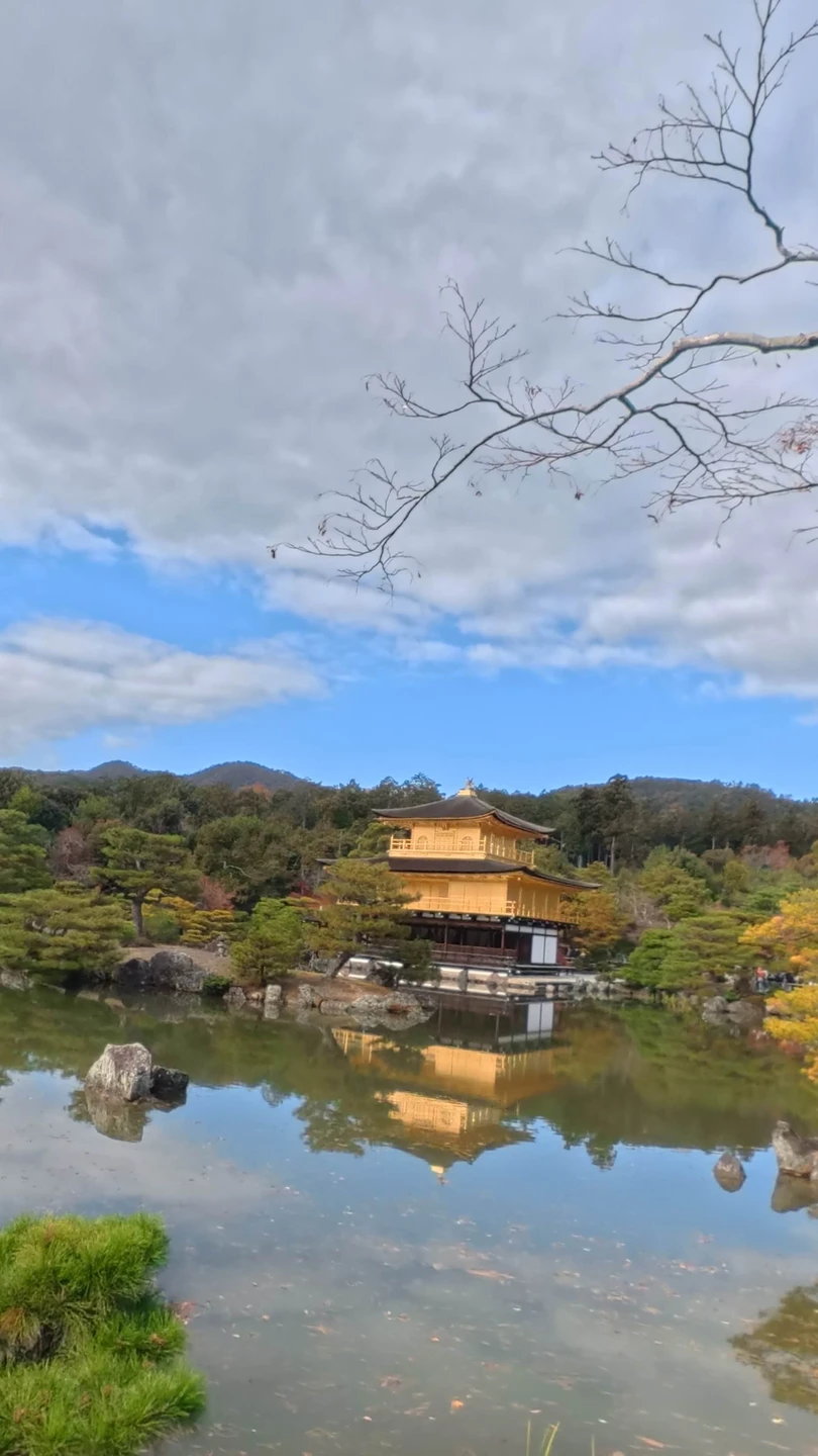 Замечательная экскурсия и замечательный гид! Мы очень довольны Ириной, спасибо огромное!!!