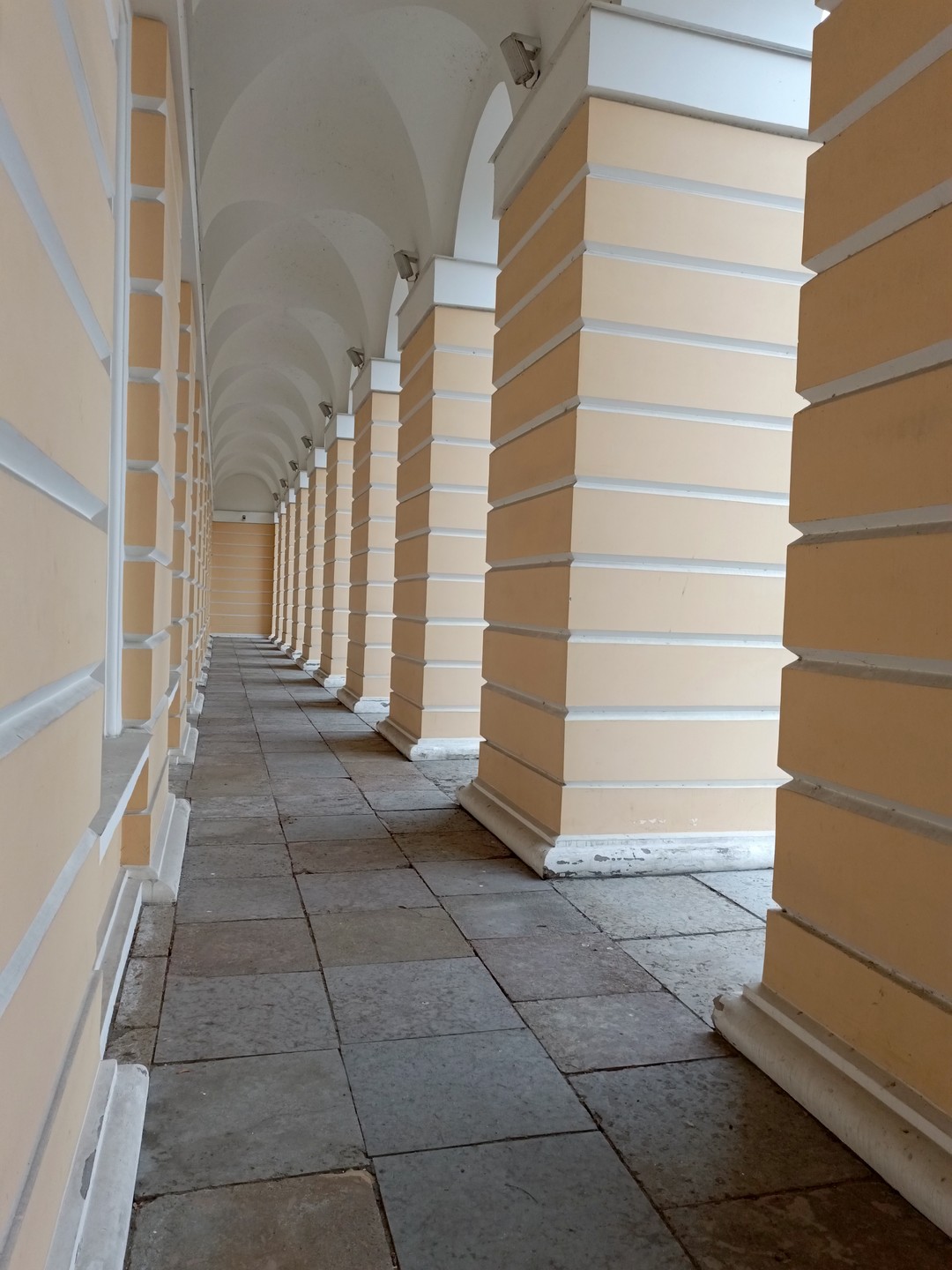 Петербург в объективе: курс молодого фотографа (Талагаева)