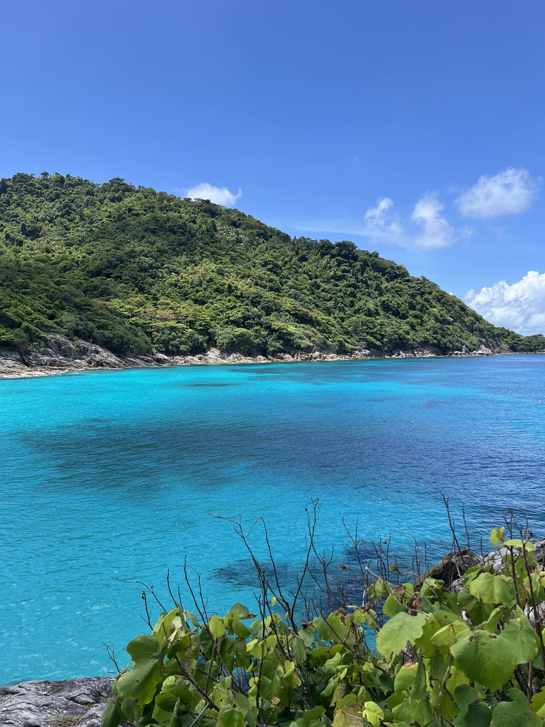 Корал и Рача Яй: путешествие на острова (Райдар)