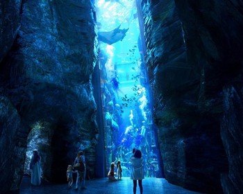 Парк Ferrari, океанариум