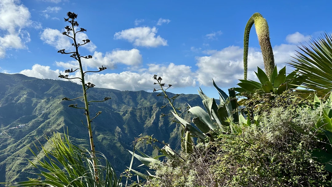 Отличный тур! Евгений — очень эрудированный и организованный гид. Он сумел объединить в одну группу совершенно