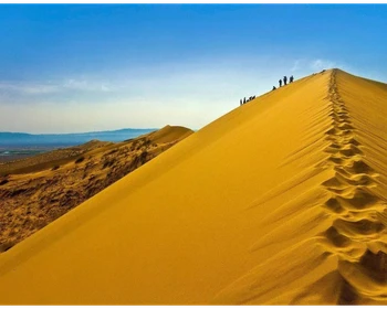 Поющий бархан, стелы Ошактас и родник Валиханова