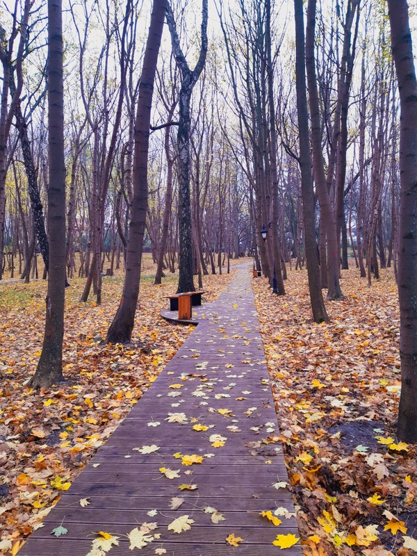 Фото 11 - Янтарь, сыр, вино — дары Самбии