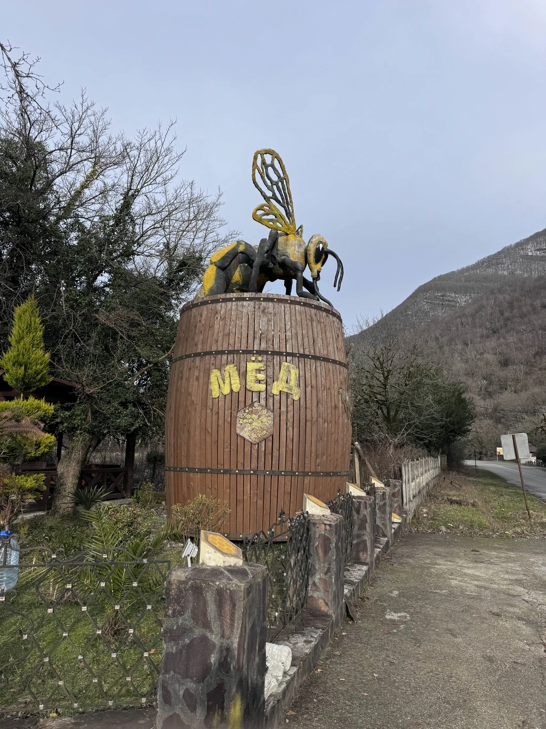 Из Сочи - на озеро Рица в индивидуальном формате (Алексей)