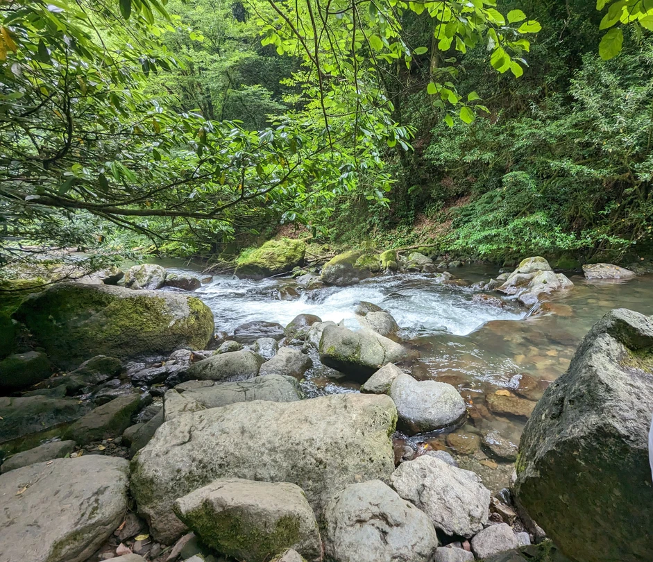 Все супер, комфортный темп, отличный маршрут, очень приветливый гид Федор