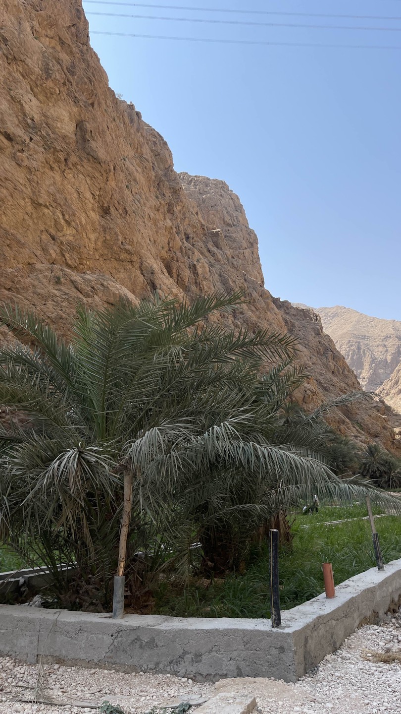 Экскурсию для нас провела Надежда