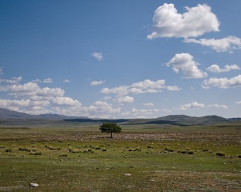 Чуйский тракт, долина реки Юстыд, петроглифы и скифские курганы