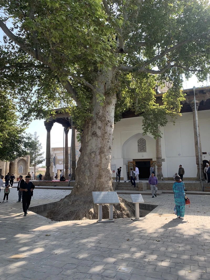 В Шахрисабз - на родину Тамерлана (ЕКАТЕРИНА)