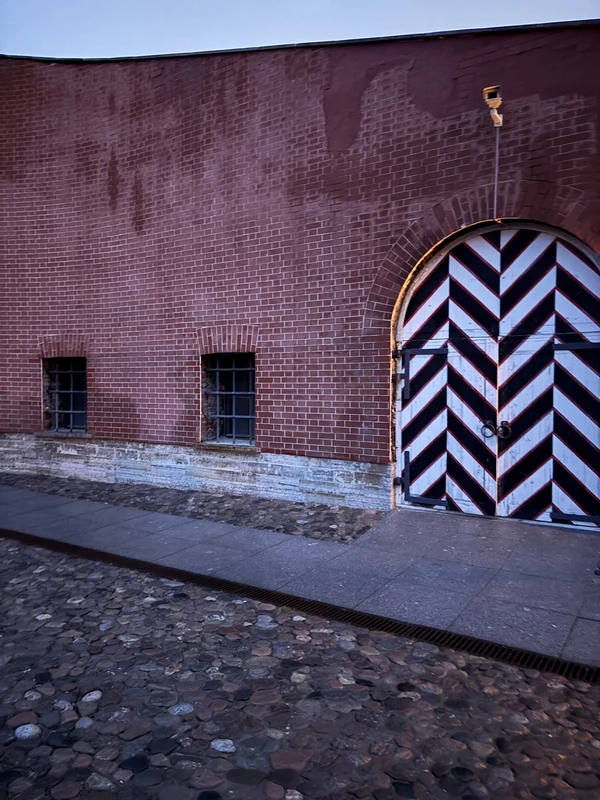 В ссылку по любви: истории жён декабристов