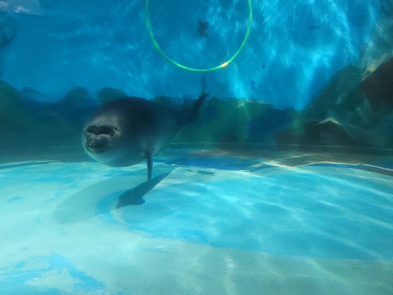 Спасибо Олегу за проведенную экскурсию. Заранее все обговорили, обсудили план поездки, даже кафе забронировали на нужное