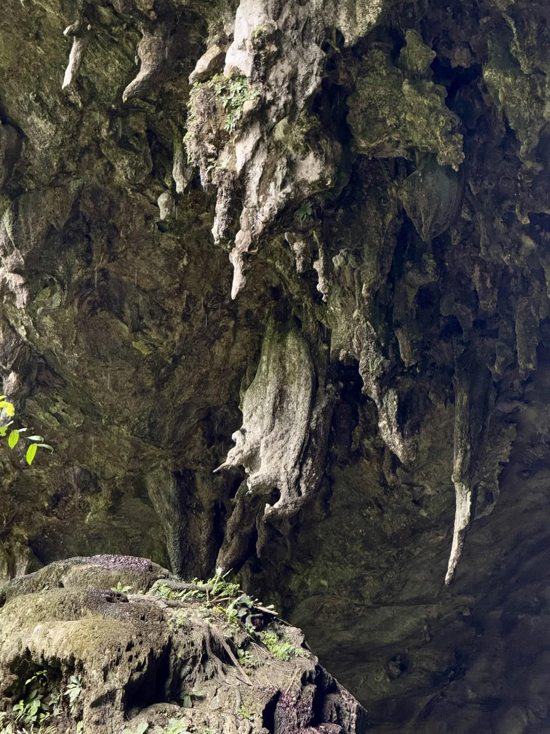 Мы добавили в тур еще один день и посмотрели за 2,5 дня Нинь Бинь, Пулун и Май Чау