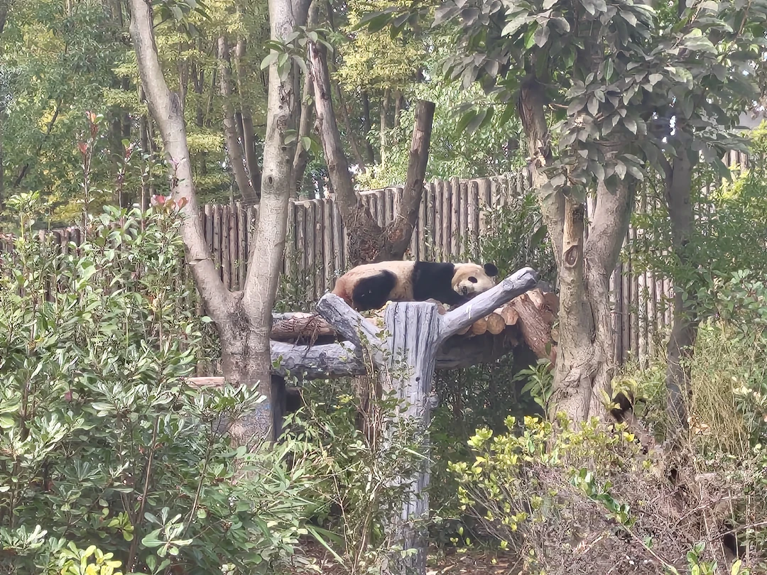 Экскурсия была организована хорошо, гид Ксюша была вовремя в отеле, она нам все рассказала и показала