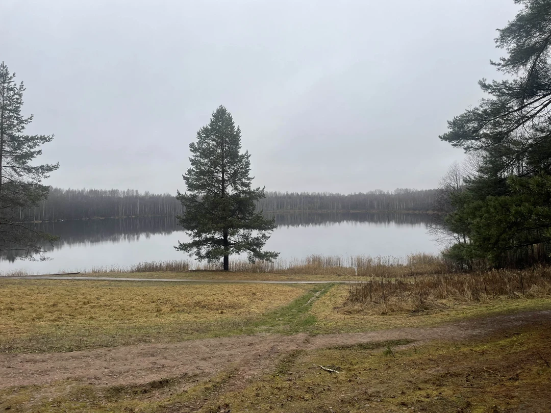 Илья, благодарим Вас за экскурсию! Очень интересно, очень комфортно - максимум впечатлений!