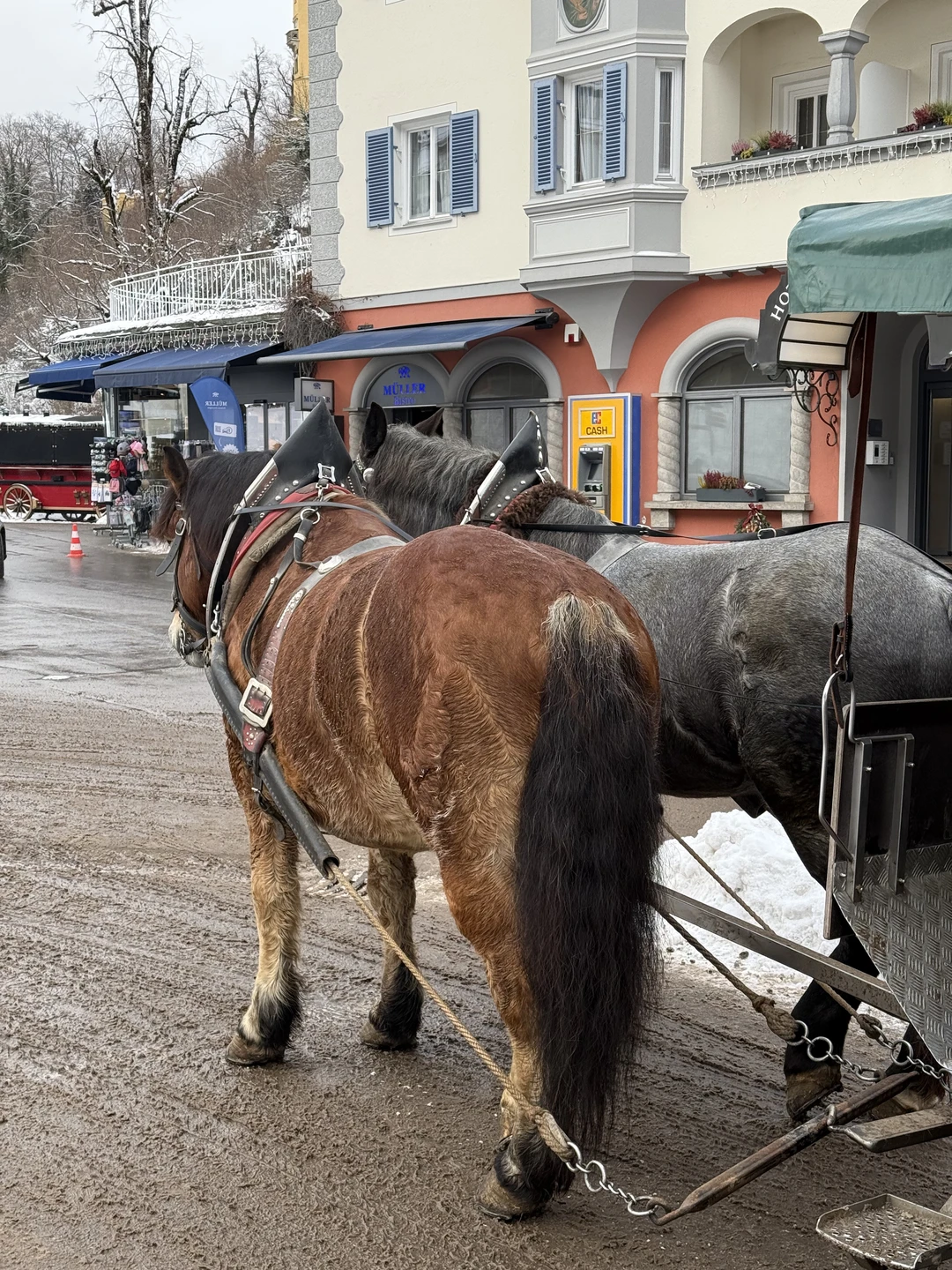 Сегодня были на экскурсии с Деяном. Это было одна из лучших экскурсий у нас за последнее
