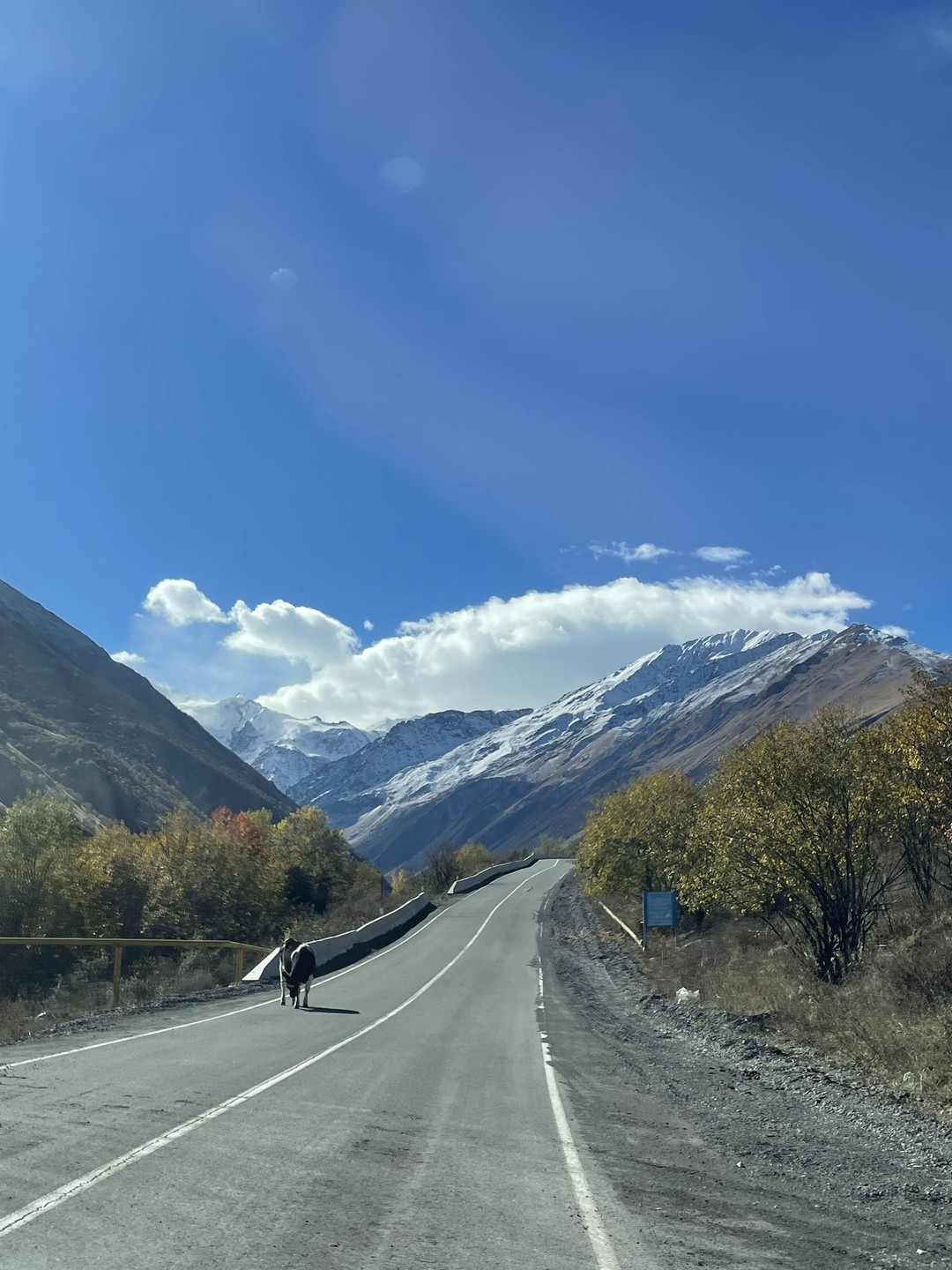 Джип-приключение «В сердце Осетии» (Наталья)