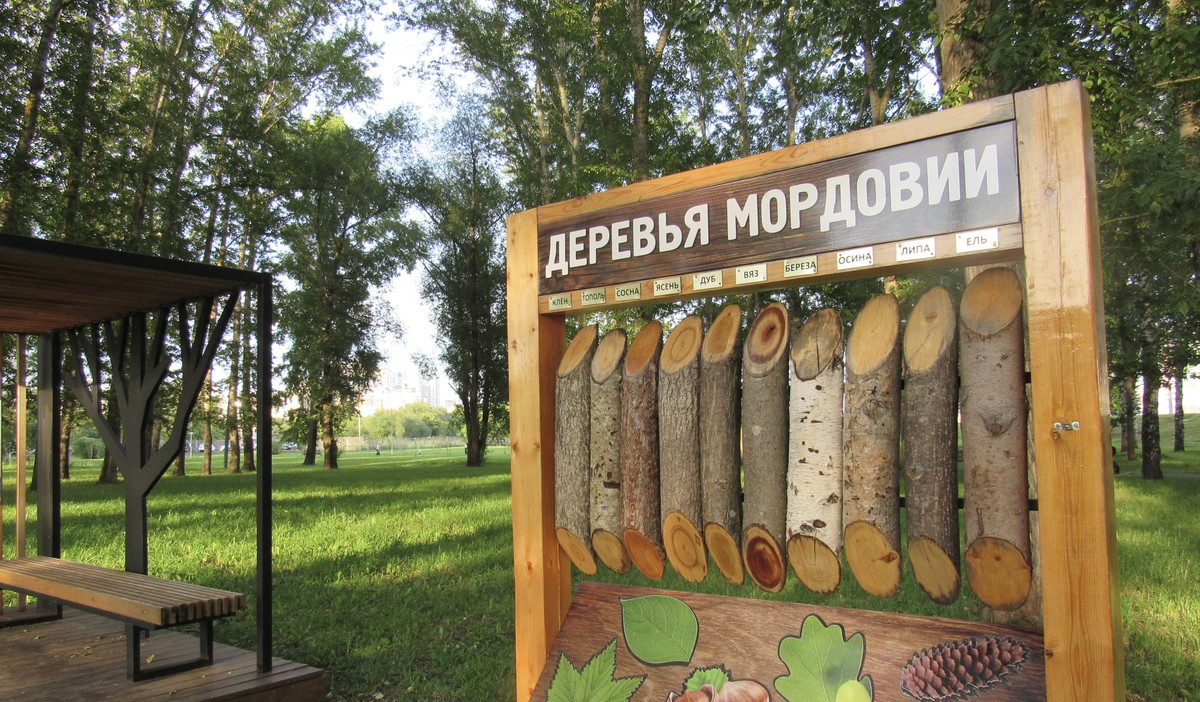 Фото 3 - Экскурсия: "Саранск: в поисках утраченного времени"