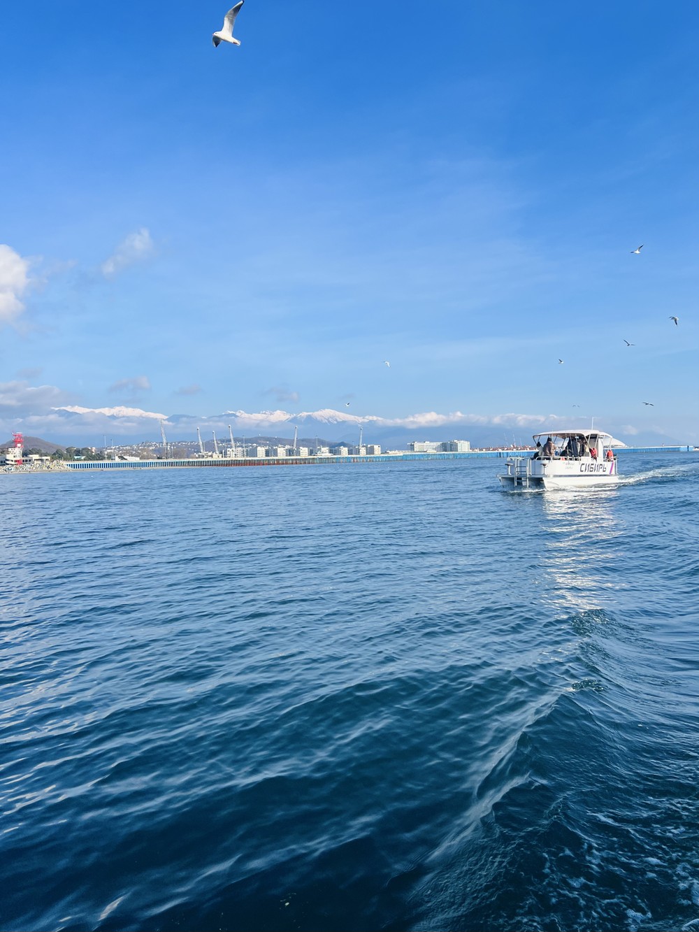 Морская и речная рыбалка в Сочи (10/21)