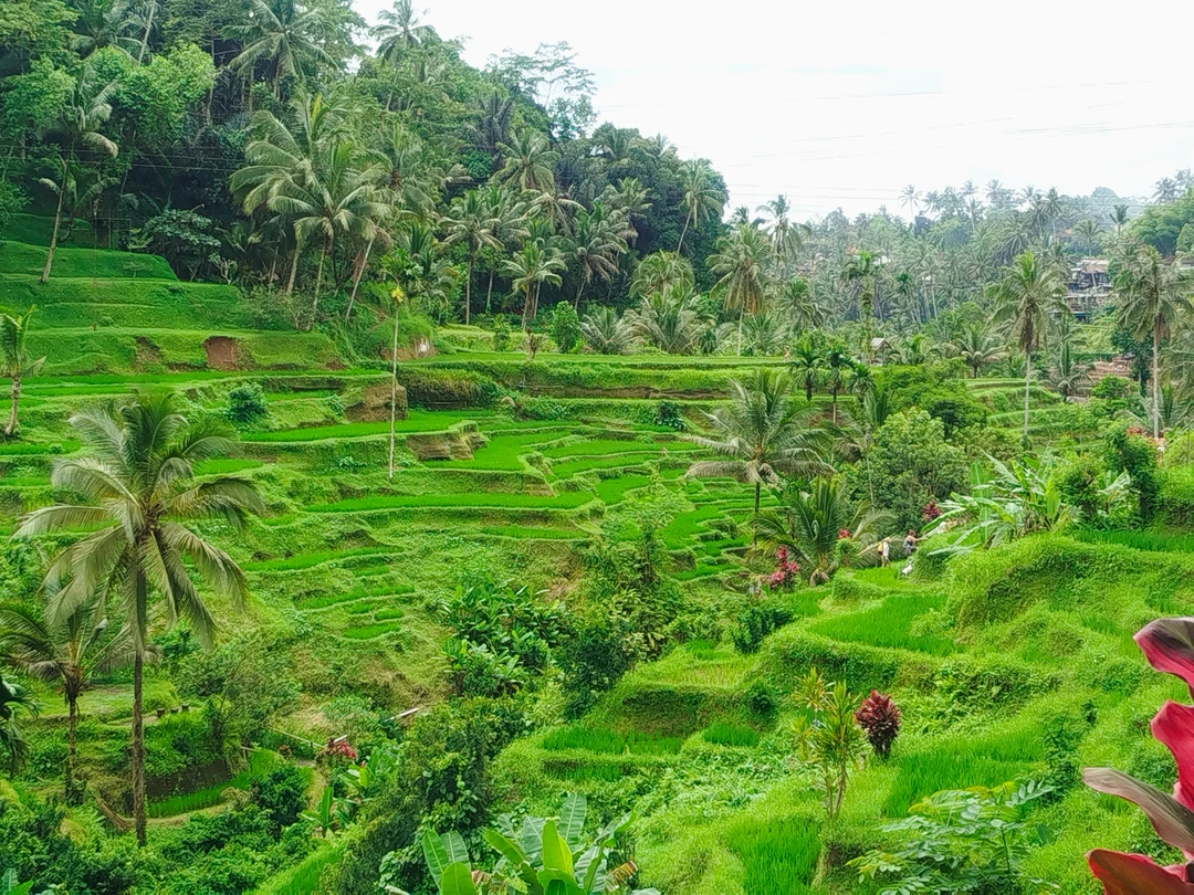 6 ноября ездили на экскурсию с гидом Эрди. Очень рекомендую!