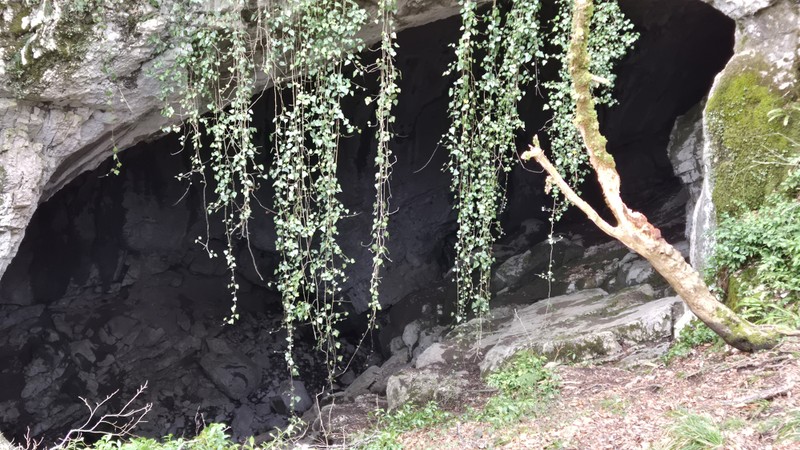 Всё было максимально удобно и индивидуально организовано. Широкий спектр знаний экскурсовода позволял общаться на любые темы.