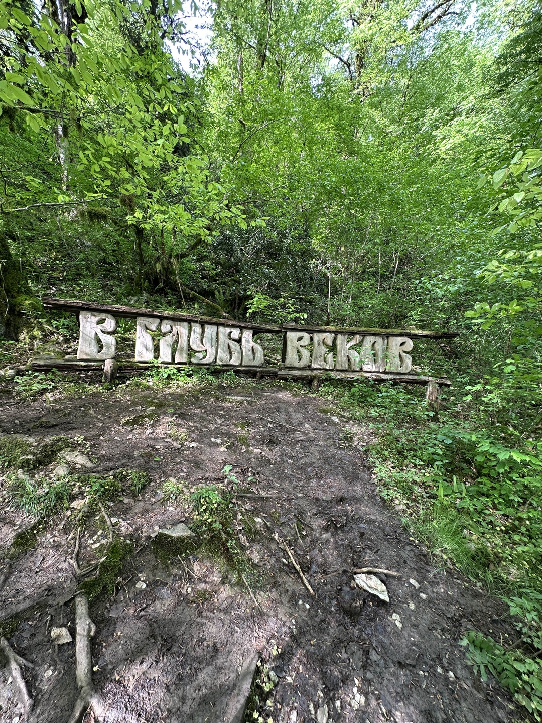 Великолепная экскурсия! Отличные локации и виды! Мы в восторге))) Спасибо!!!