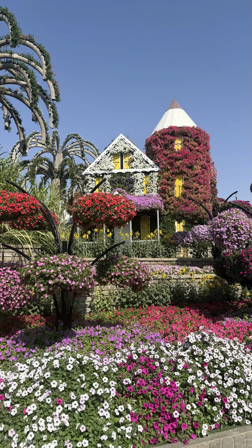 Советую взять экскурсию по Дубаю с Умаром, чтобы увидеть все самые популярные точки с уникальных и