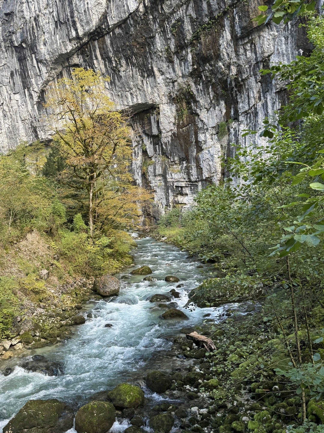 21 октября 2025 года путешествовали из Адлера в Абхазию (выбрали для себя озеро Рица и окрестности)