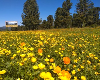 Шаманские ритуалы и самая живописная дорога России