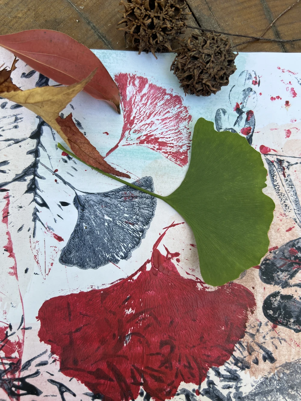 Мастер-класс по монопечати растений в Сочи (6/18)