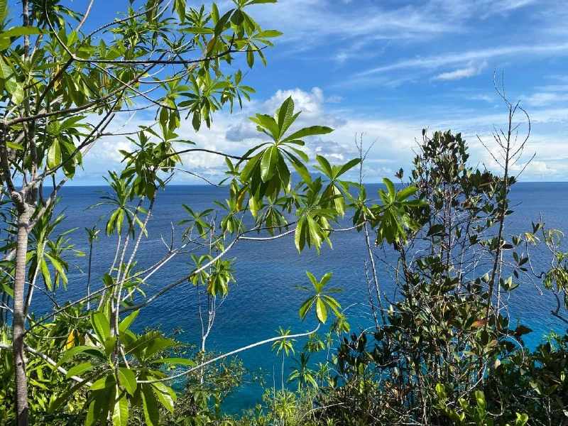 Сейшелы, которым есть чем удивить (Олег)